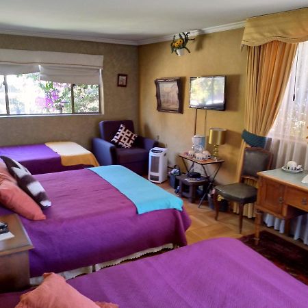 Bed & Breakfast Blumen Haus Santiago Luaran gambar
