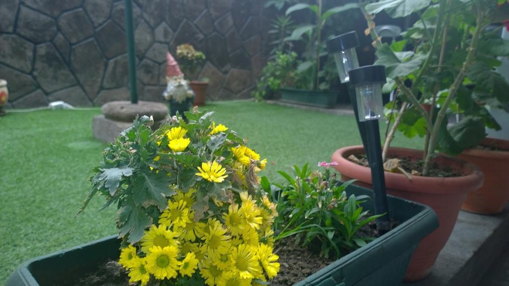 Bed & Breakfast Blumen Haus Santiago Luaran gambar