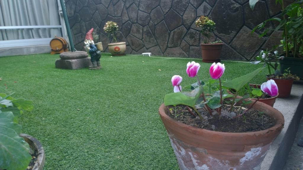 Bed & Breakfast Blumen Haus Santiago Luaran gambar