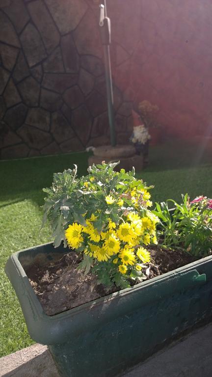 Bed & Breakfast Blumen Haus Santiago Luaran gambar